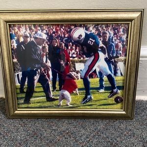 Georgia Bulldog Football Pictures